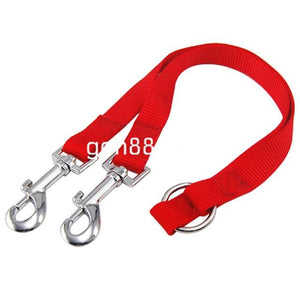 Twin dual coupler dog leash