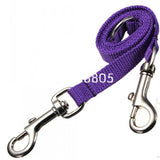 Twin dual coupler dog leash