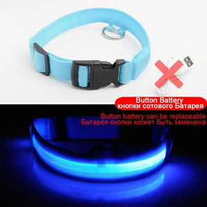 Adjustable LED Dog Collar to Keep Dogs Safe