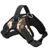 Adjustable Dog Harness - 3 Colors