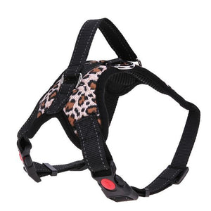 Adjustable Dog Harness - 3 Colors